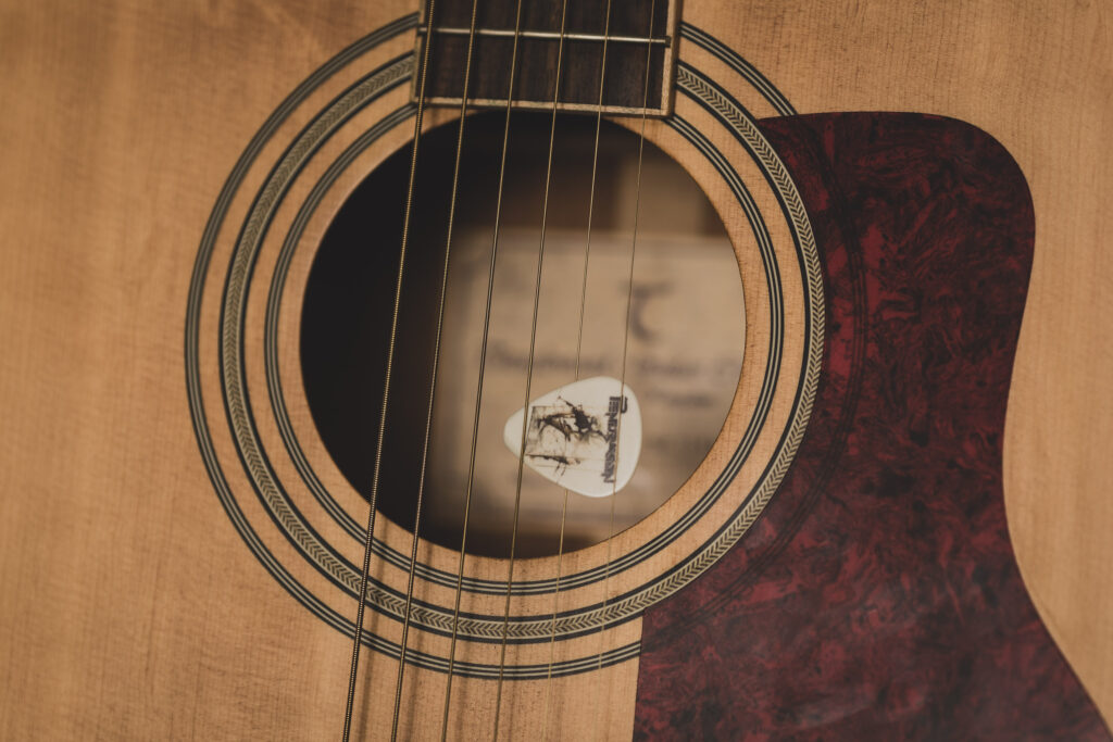 Plectrum