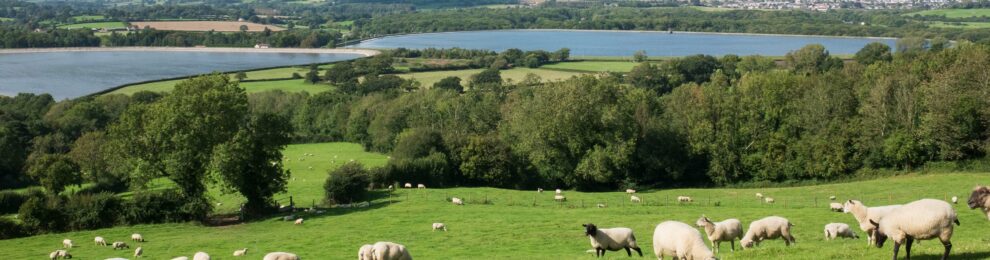 Barrow Gurney Reservoirs Barrow Gurney Reservoirs