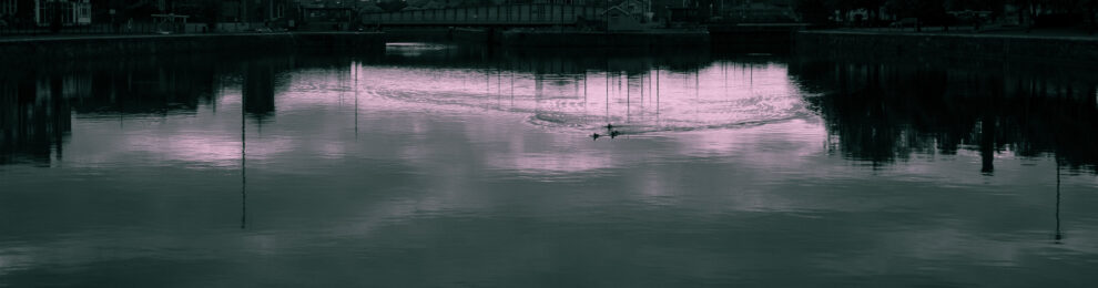 Hello, Ducks