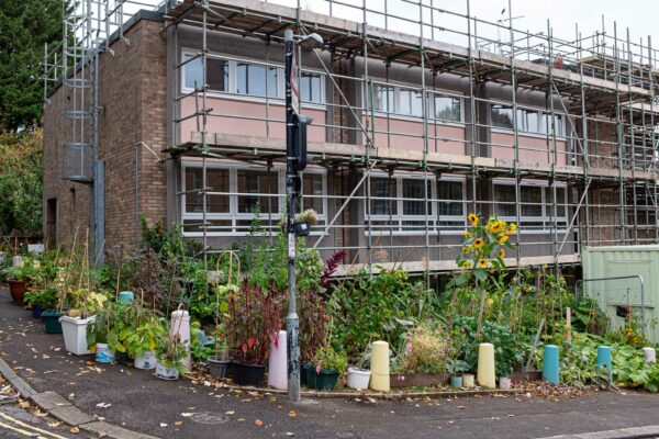 Vegetable garden, Carrick House, Joy Hill, Bristol