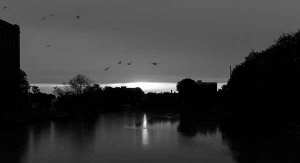 Sunrise over the River Avon in Bristol at high tide, blurred pigeons in the sky, shot from Ashton Avenue Bridge